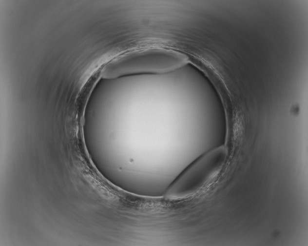 X0000115800973200911271247