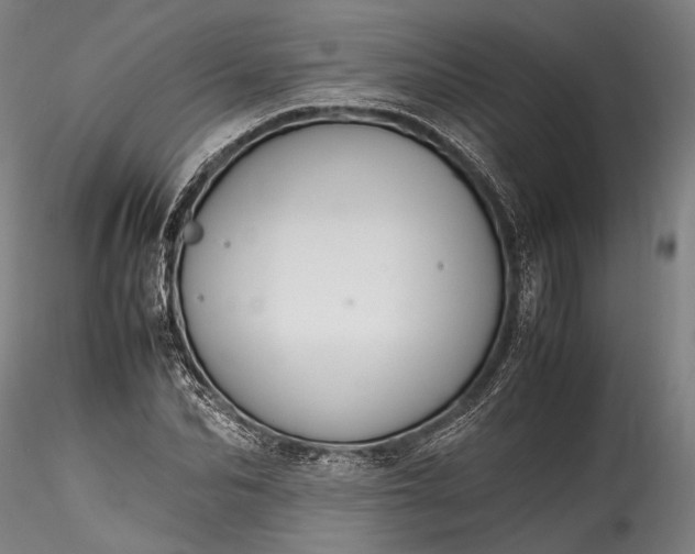 X0000115800974200911271247