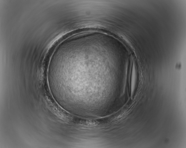 X0000115800975200911271247