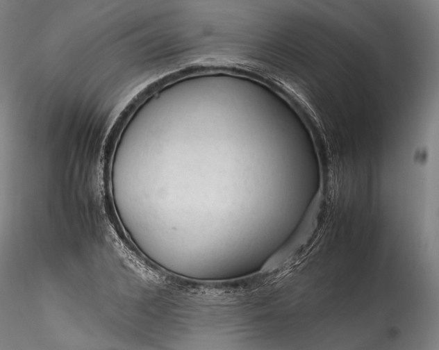 X0000115800976200911271247