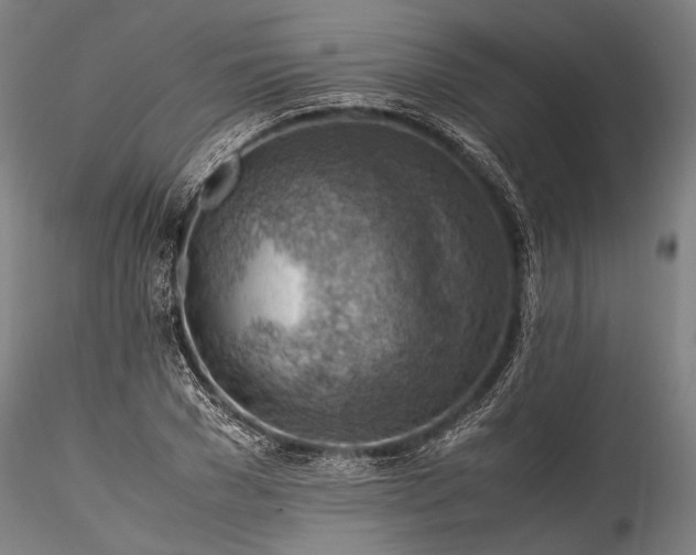 X0000115800977200911271247
