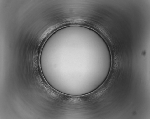 X0000115800978200911271247