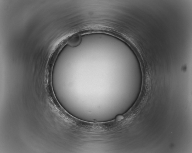 X0000115800979200911271246