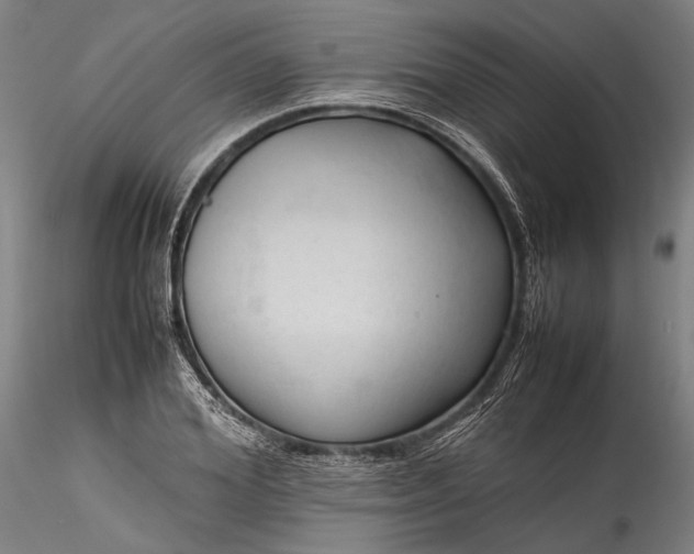 X0000115800980200911271246
