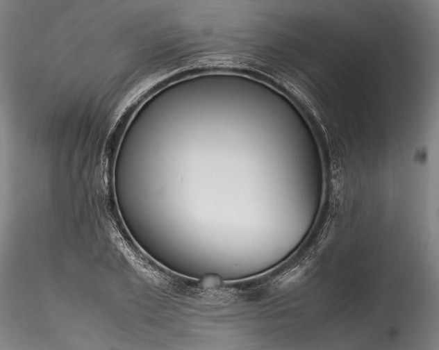 X0000115800981200911271246