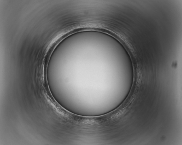 X0000115800982200911271246