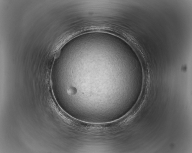 X0000115800985200911271246