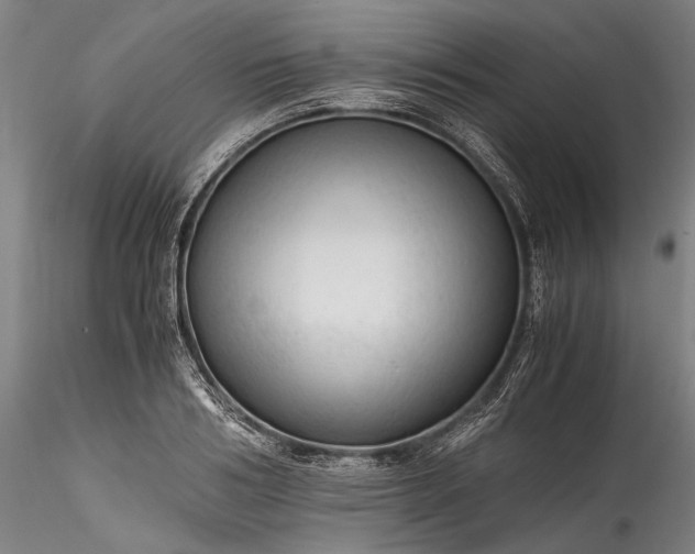 X0000115800986200911271246