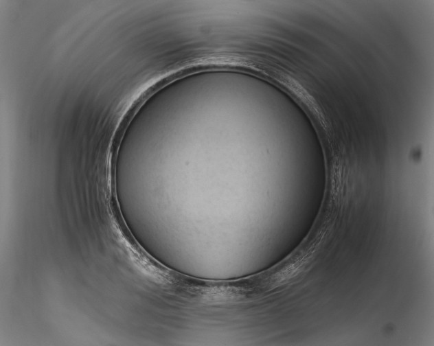X0000115800988200911271246