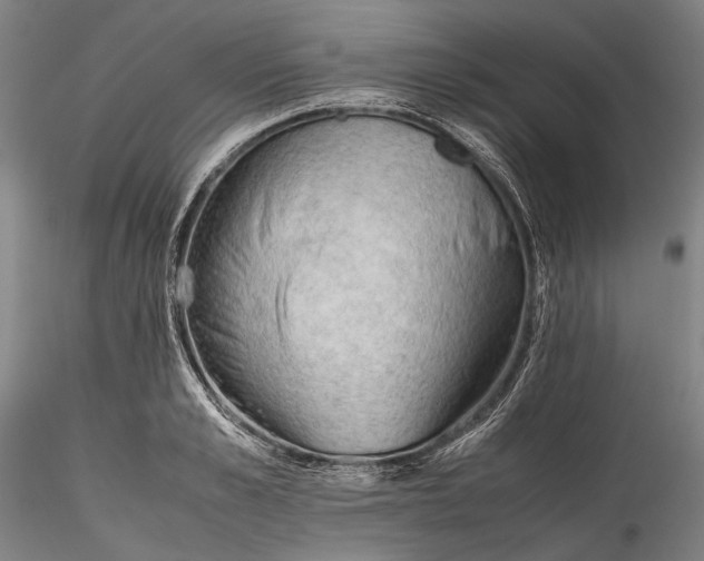 X0000115800989200911271246