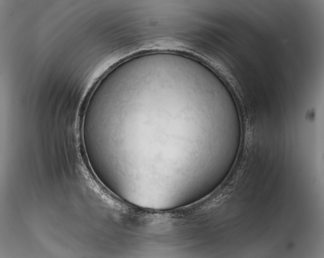 X0000115800990200911271246