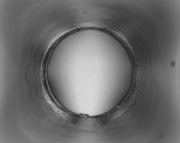 X0000115800991200911271246