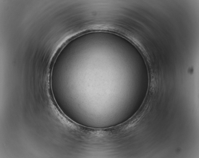 X0000115800992200911271246