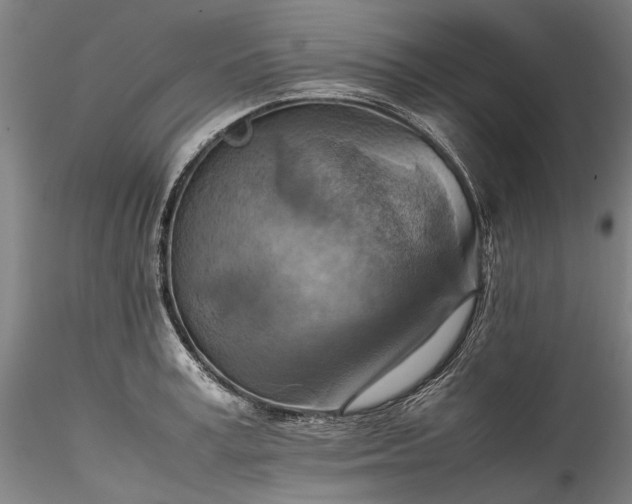 X0000115800995200911271246