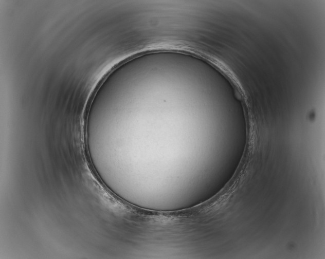 X0000115800996200911271246