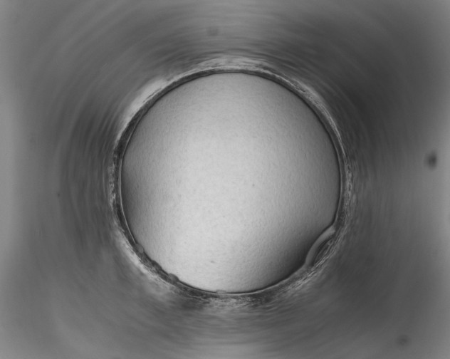 X0000115800997200911271246