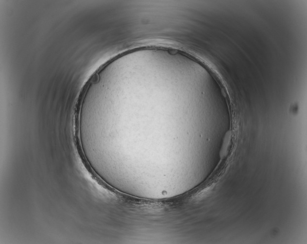 X0000115800999200911271246