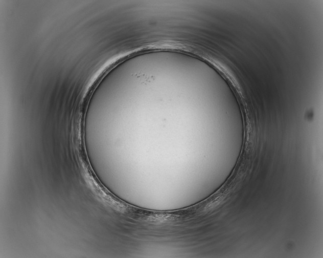 X0000115801000200911271246