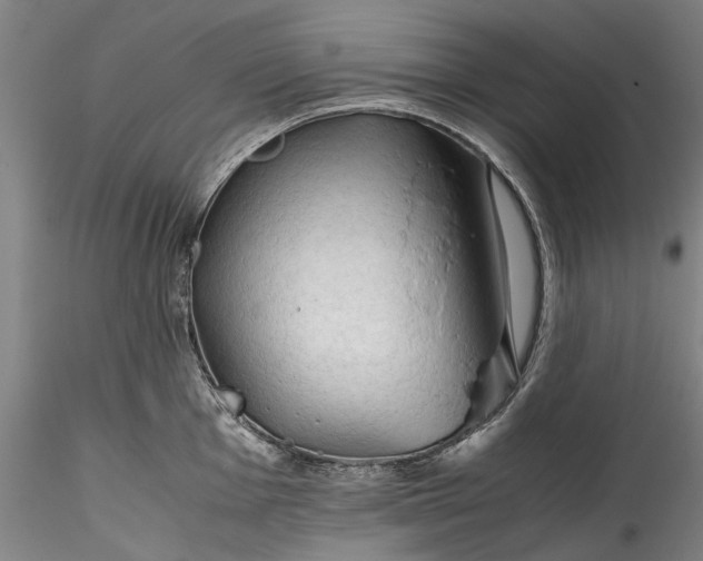 X0000115801001200911271246