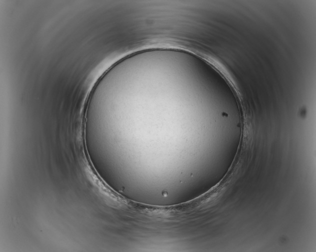 X0000115801004200911271246