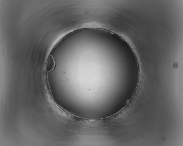 X0000115801008200911271246