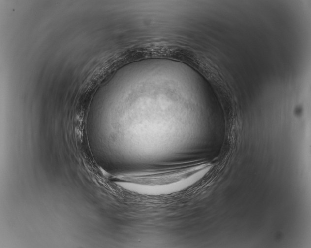 X0000115801010200911271245