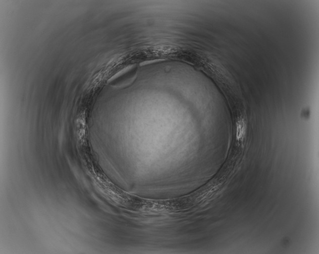 X0000115801011200911271245