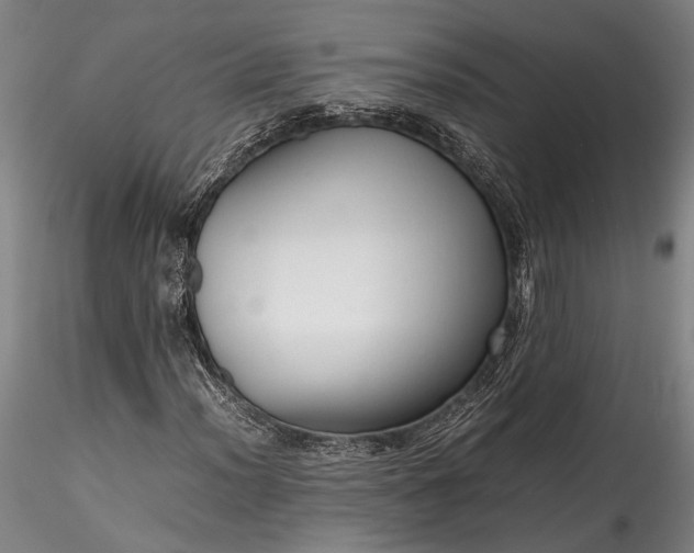 X0000115801012200911271245