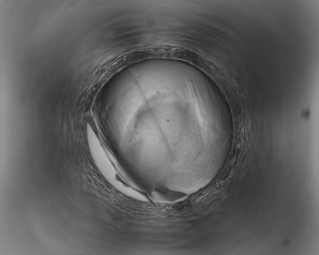 X0000115801013200911271245