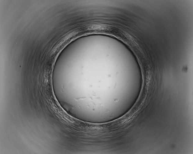 X0000115801017200911271246
