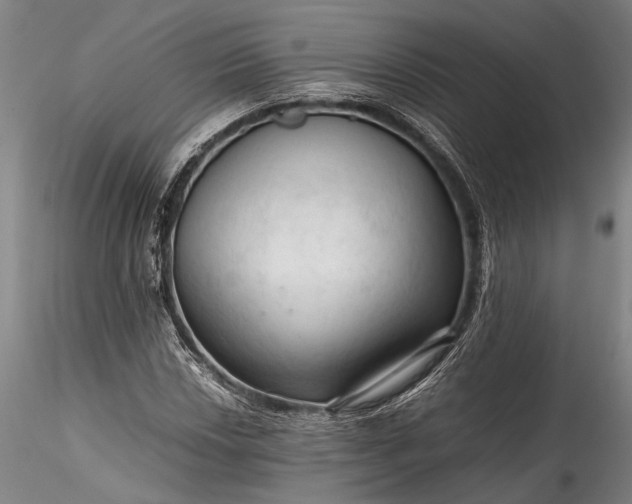 X0000115801018200911271246