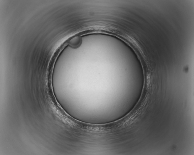 X0000115801020200911271246