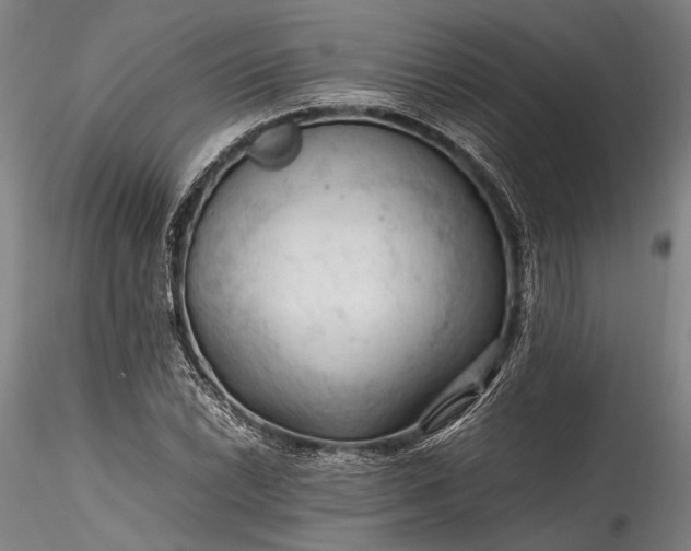 X0000115801022200911271246
