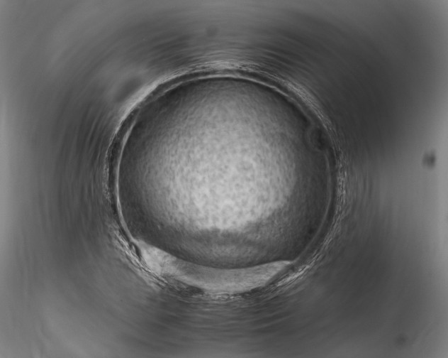 X0000115801023200911271246