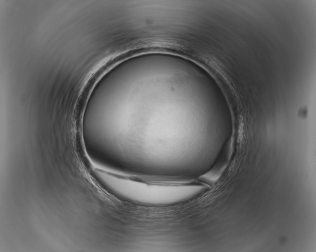 X0000115801024200911271246
