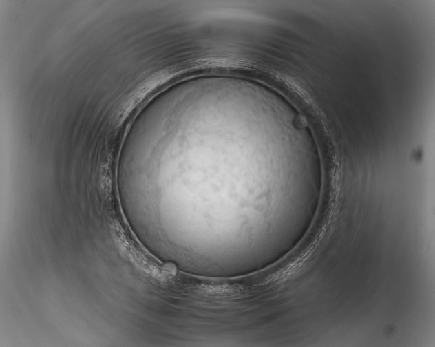 X0000115801025200911271246