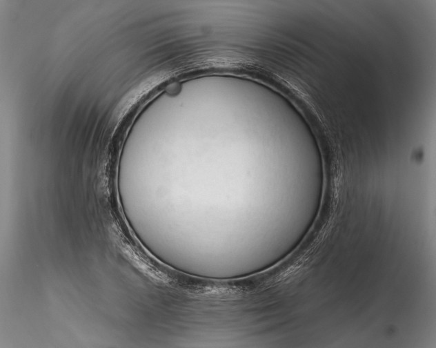 X0000115801026200911271246