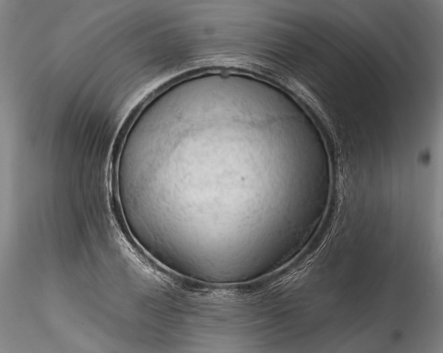 X0000115801028200911271246