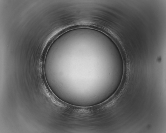 X0000115801029200911271246