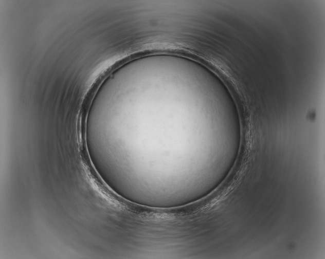 X0000115801030200911271246