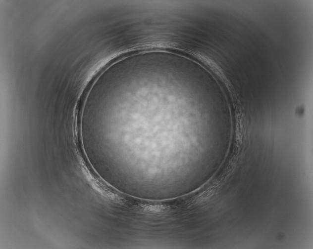 X0000115801031200911271246