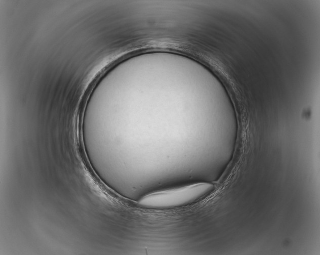 X0000115801032200911271246