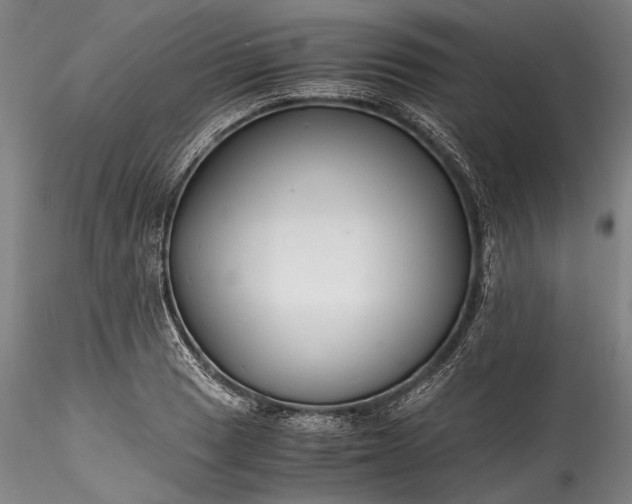 X0000115801033200911271246