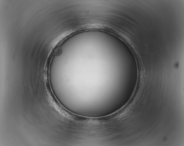 X0000115801034200911271246