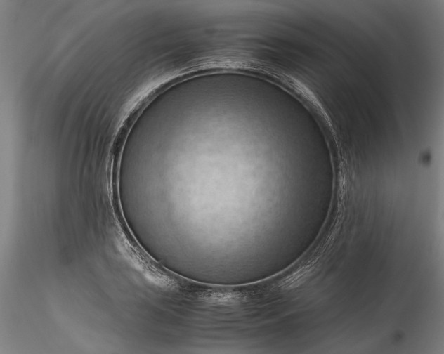 X0000115801035200911271246