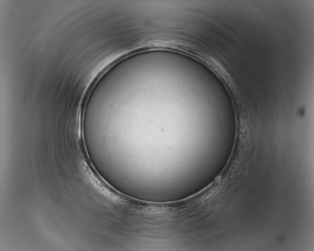 X0000115801036200911271246