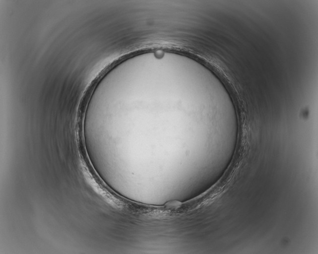 X0000115801038200911271246