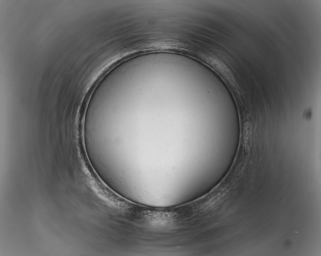X0000115801039200911271246
