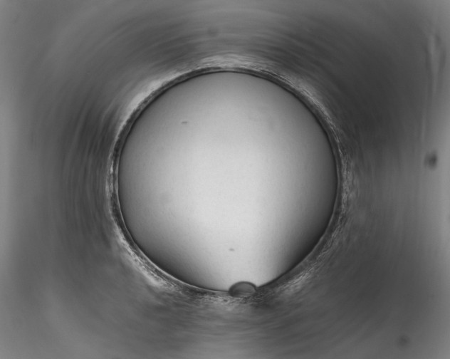 X0000115801040200911271246