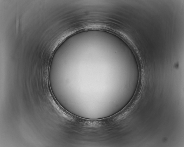 X0000115801041200911271246